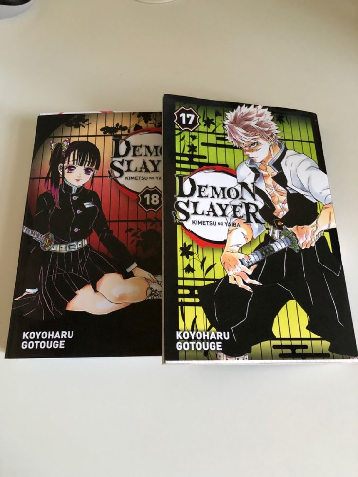 Demon Slayer manga volume 17+18