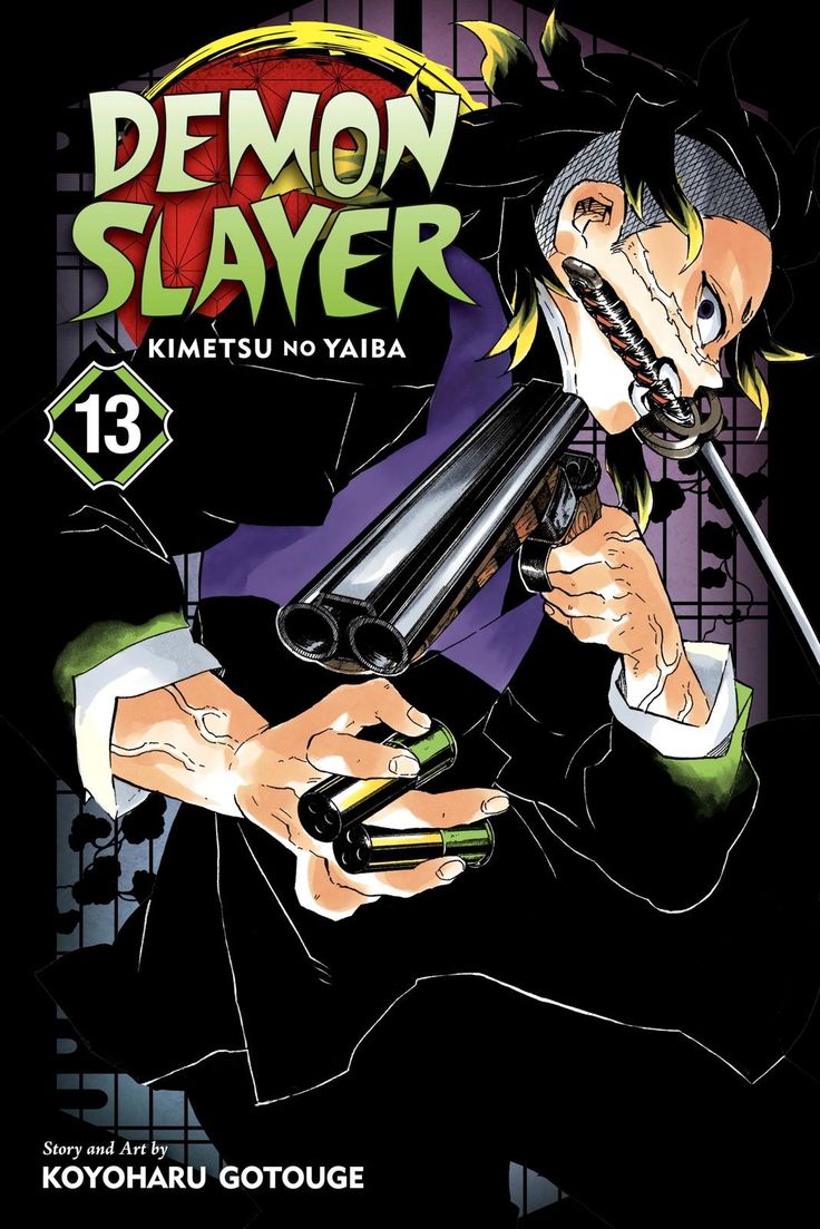 Demon slayer volume 13