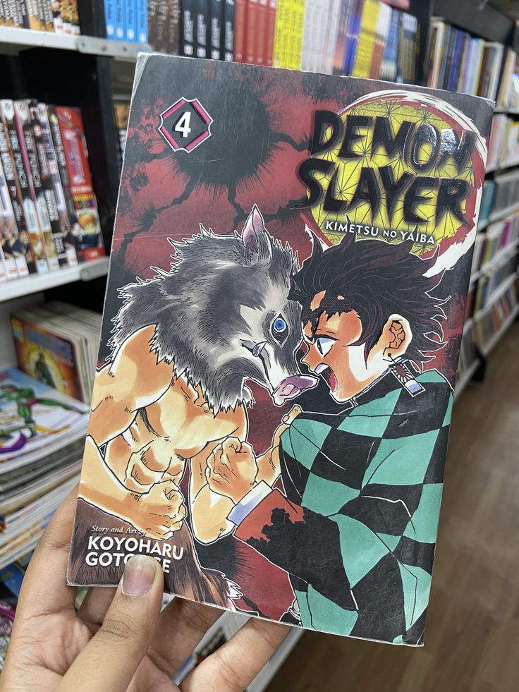 Demon slayer volume 4