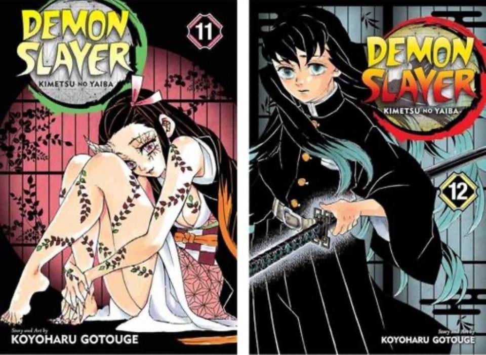 Demon slayer manga volume 11+12