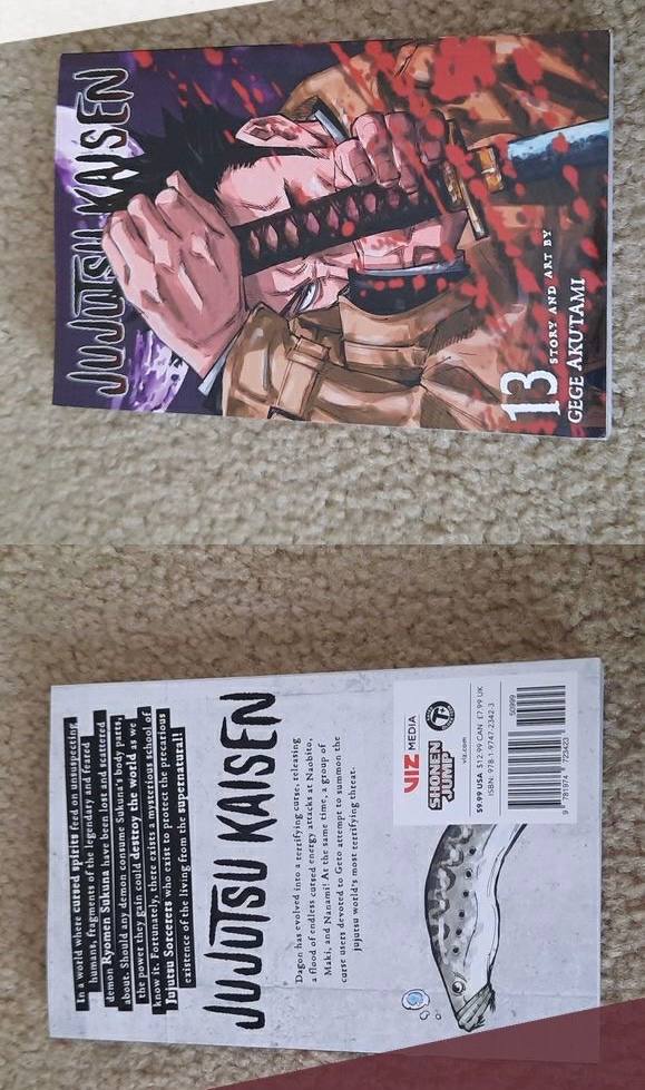 Jujutsu kaisen volume 13+14